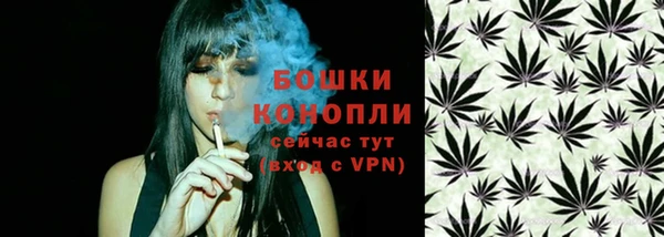СК Дмитров