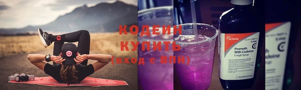 СК Дмитров