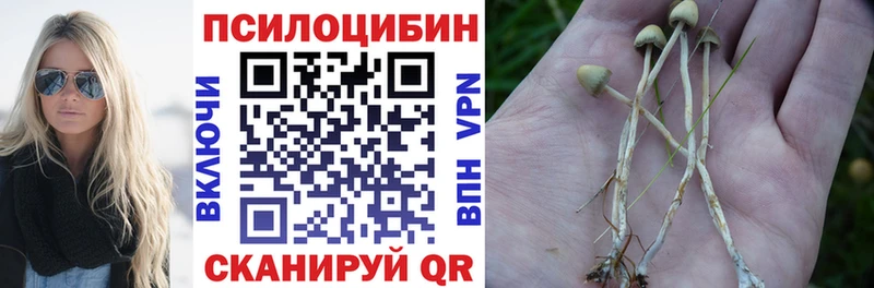 Псилоцибиновые грибы мицелий  сколько стоит  blacksprut онион  Обнинск 